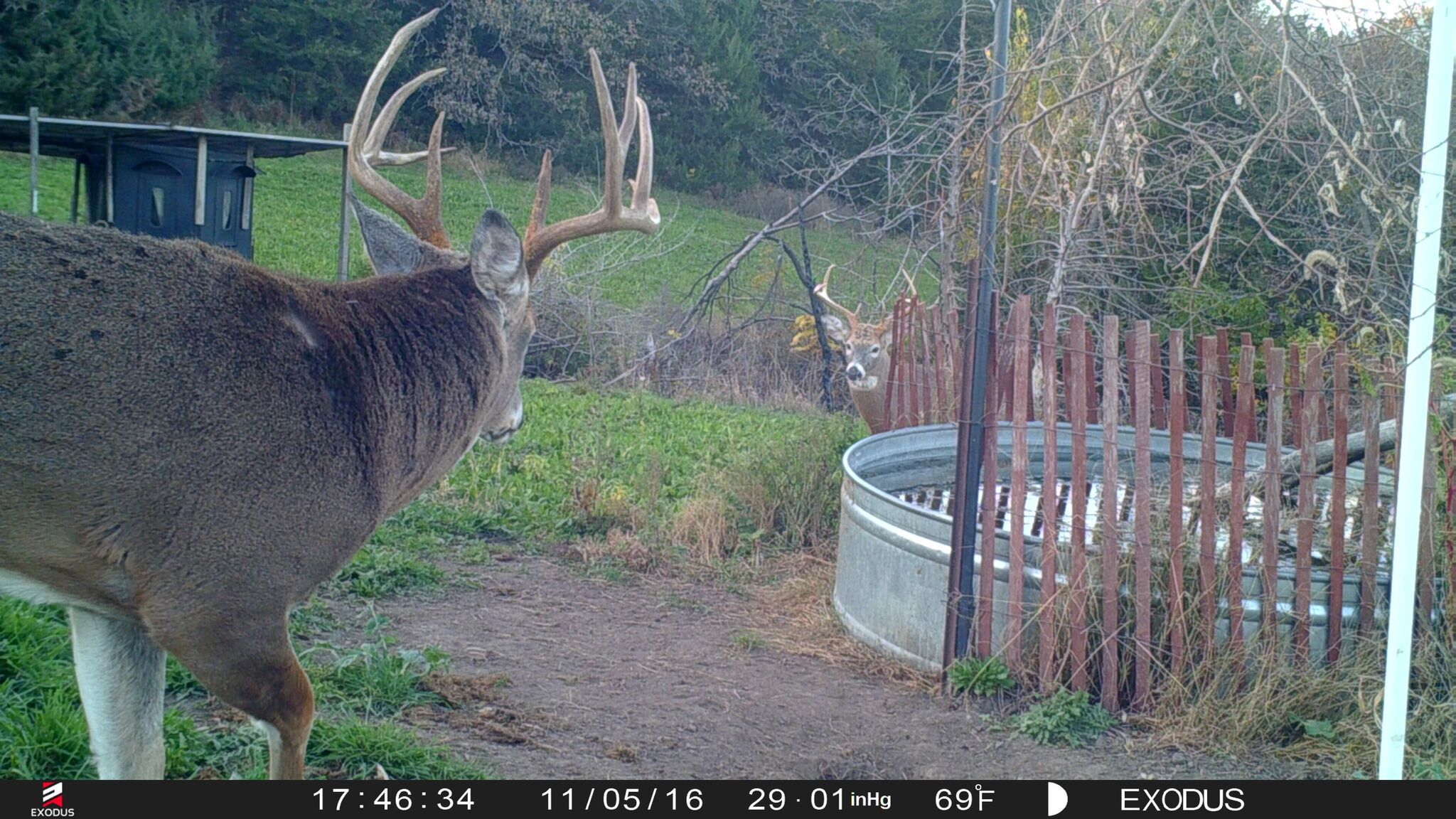 Hunting early season bucks: anticipating and recognizing habitat patterns