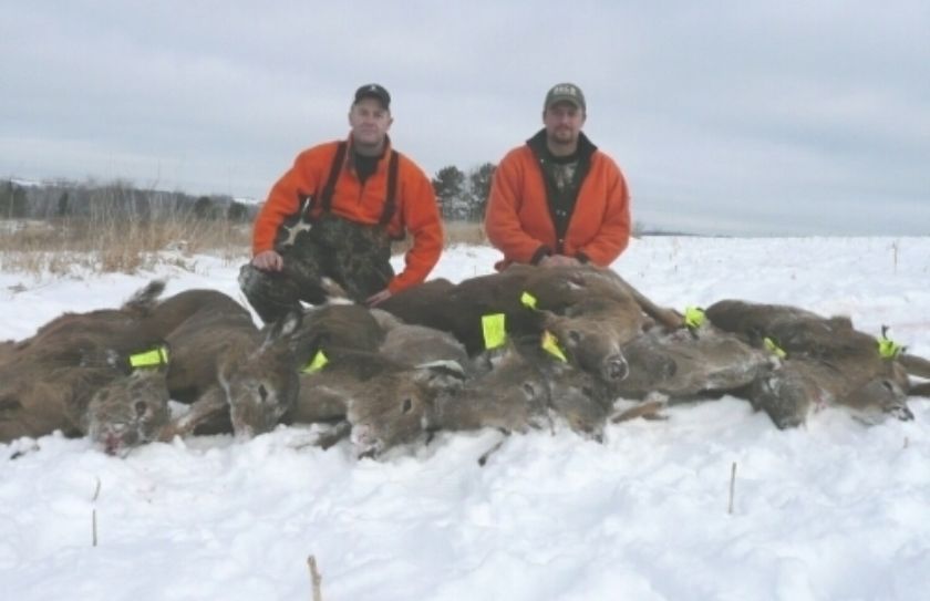 doe management