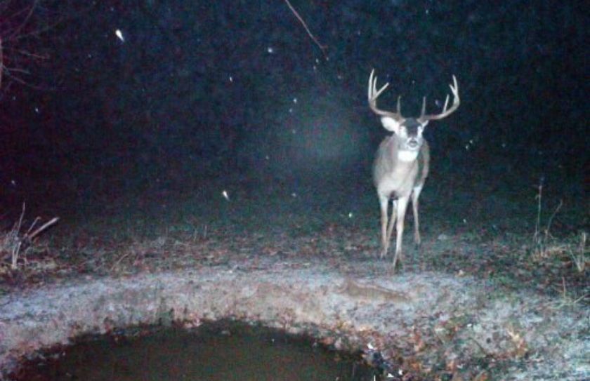 whitetail rut weather guide