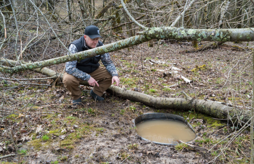 deer Waterhole tips