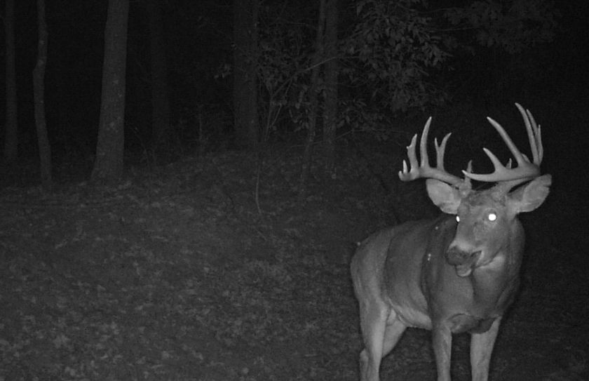 trail cam locations