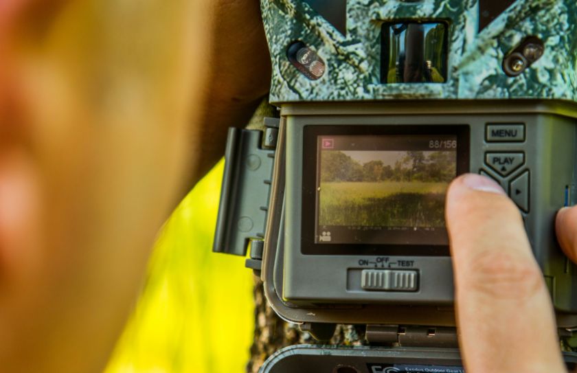 Hanging trail cameras to not spook deer