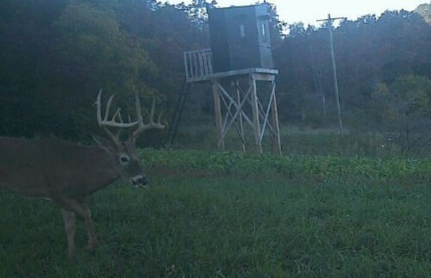 nw il monster buck