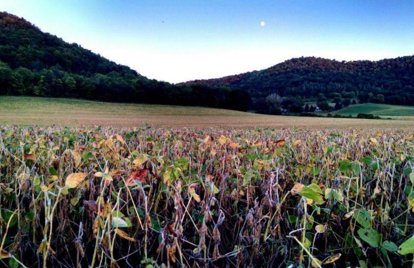 shift of whitetail habitat