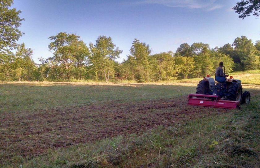 food plot blend