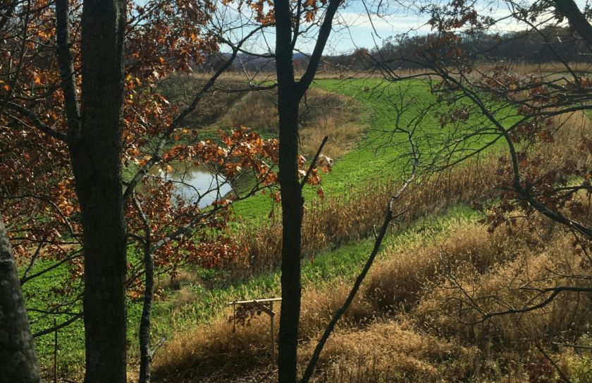 bowhunting habitat strategy