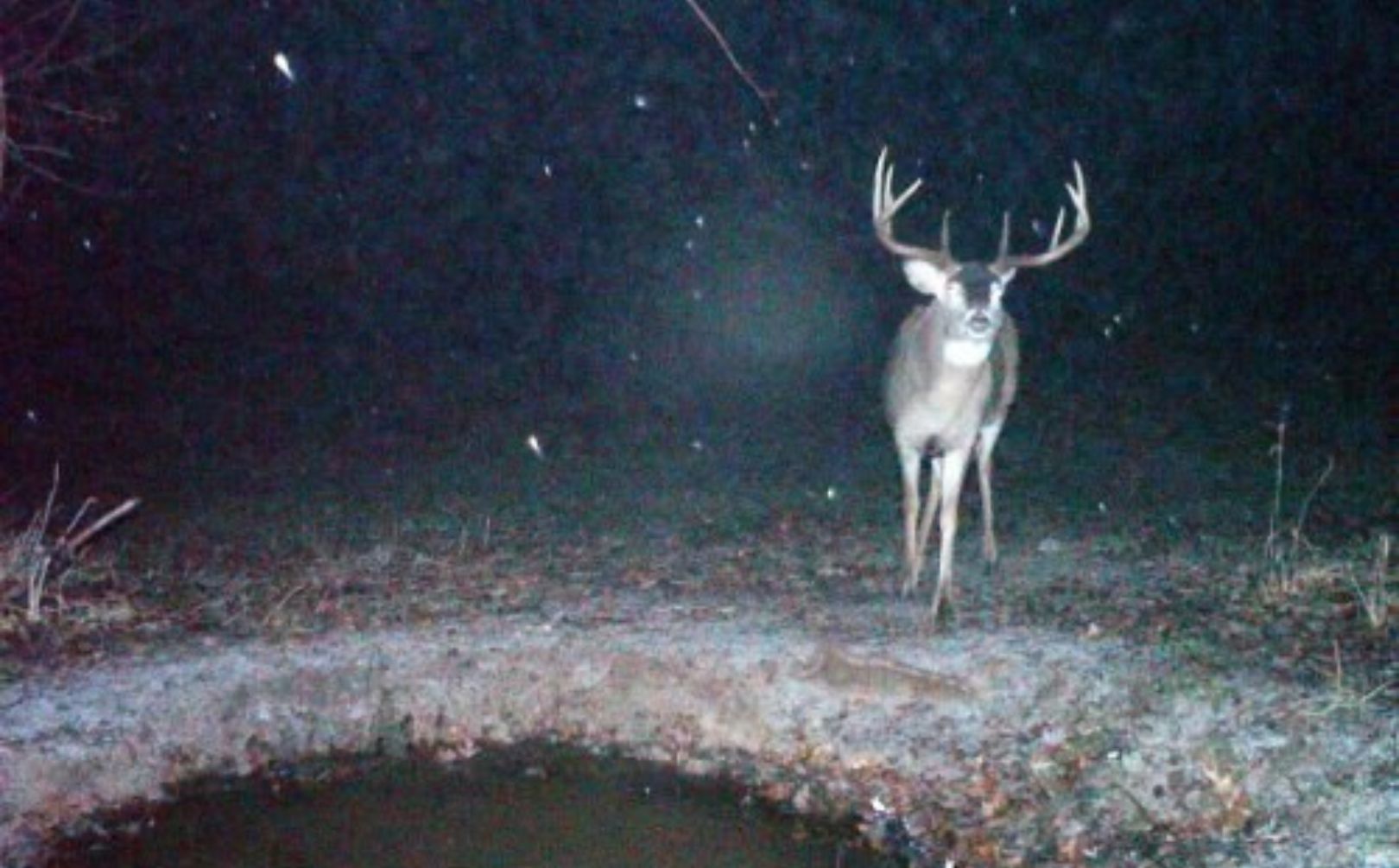 whitetail rut weather guide