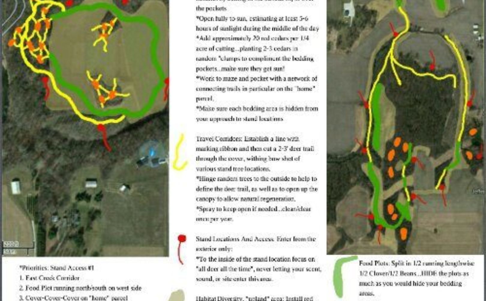 Early Season Whitetail Habitat and Hunting Designs