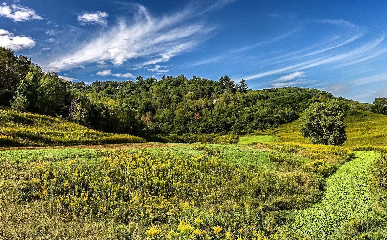 how many acres of food plot