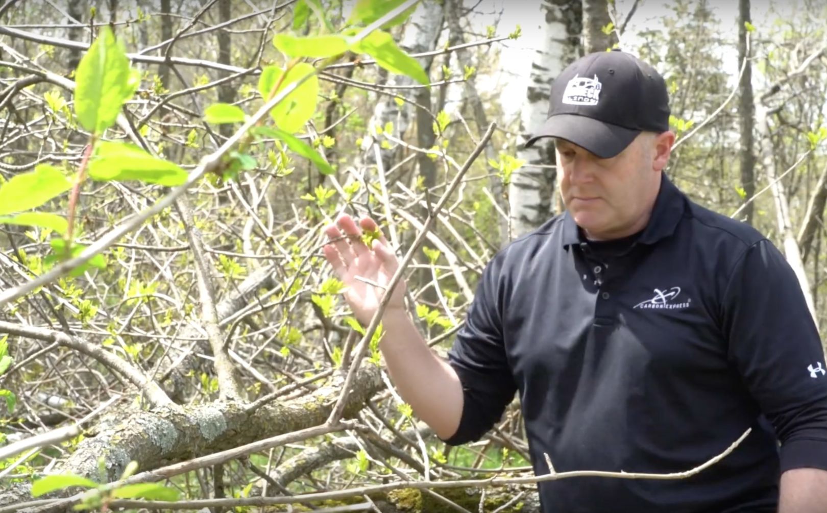 Browse Food Plots