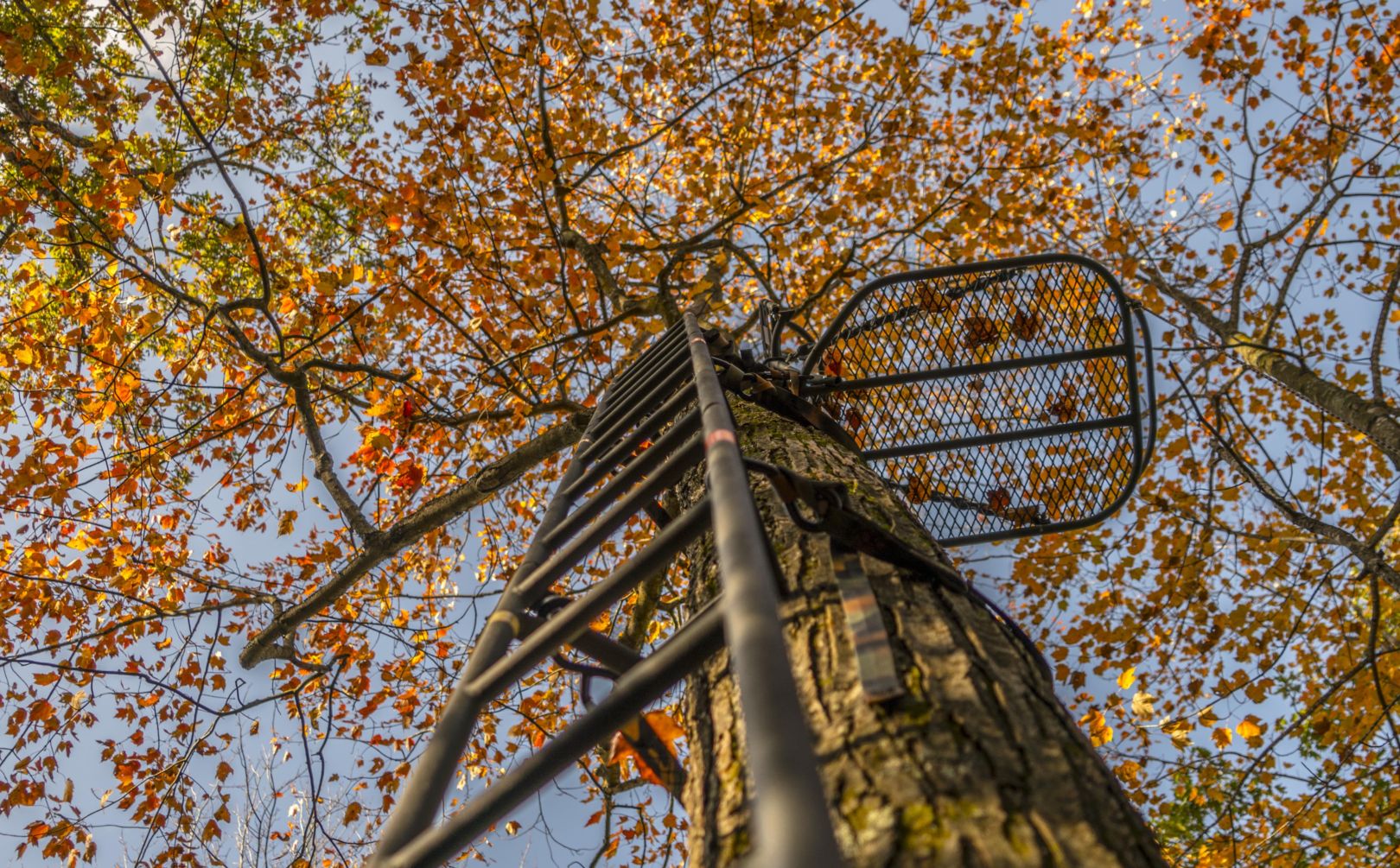 treestand overnight public land