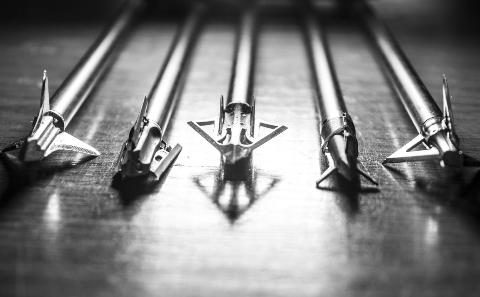 choosing a broadhead