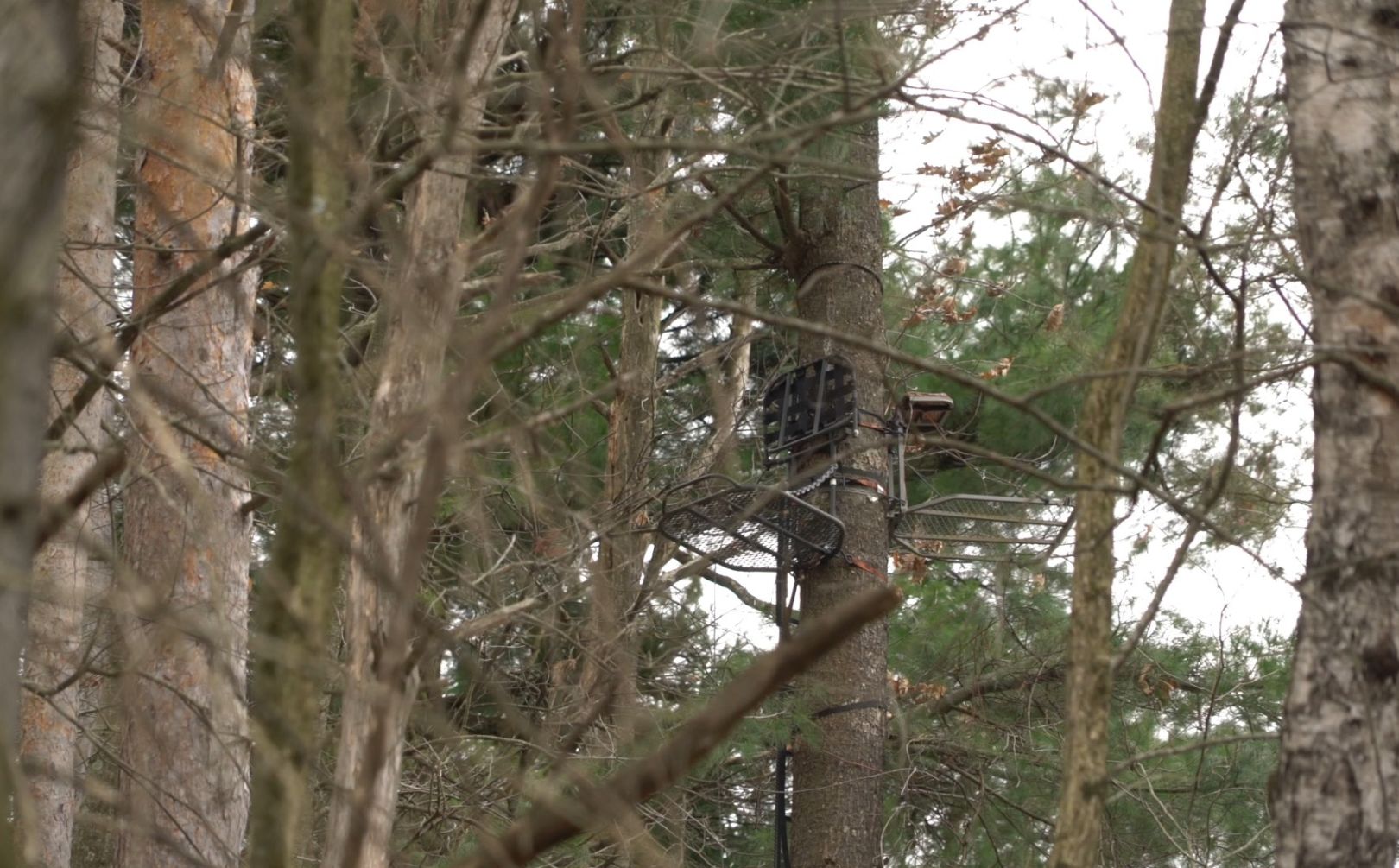 Favorite Treestand Setup