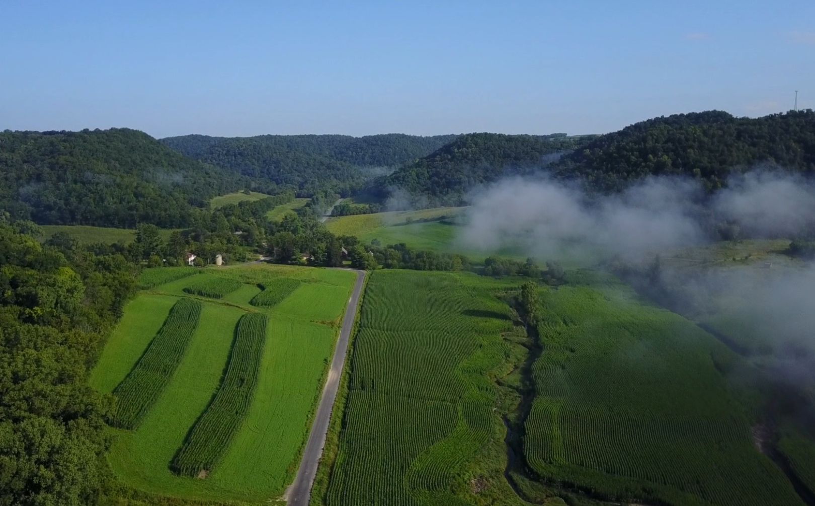 Habitat Management