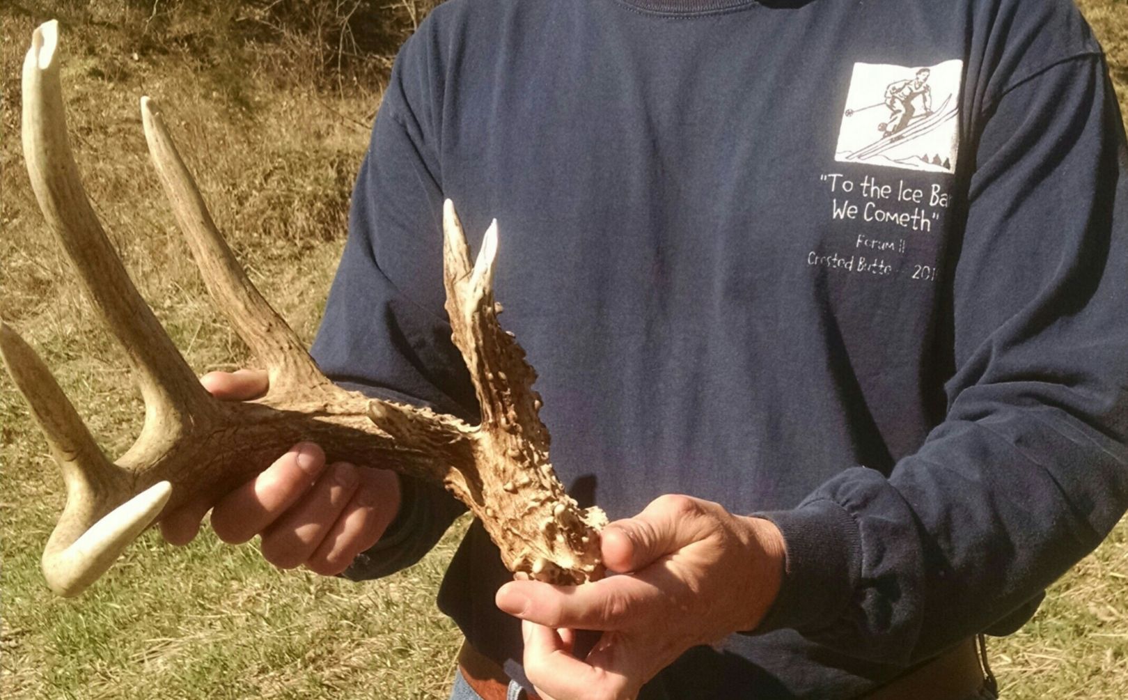 shed antler timing