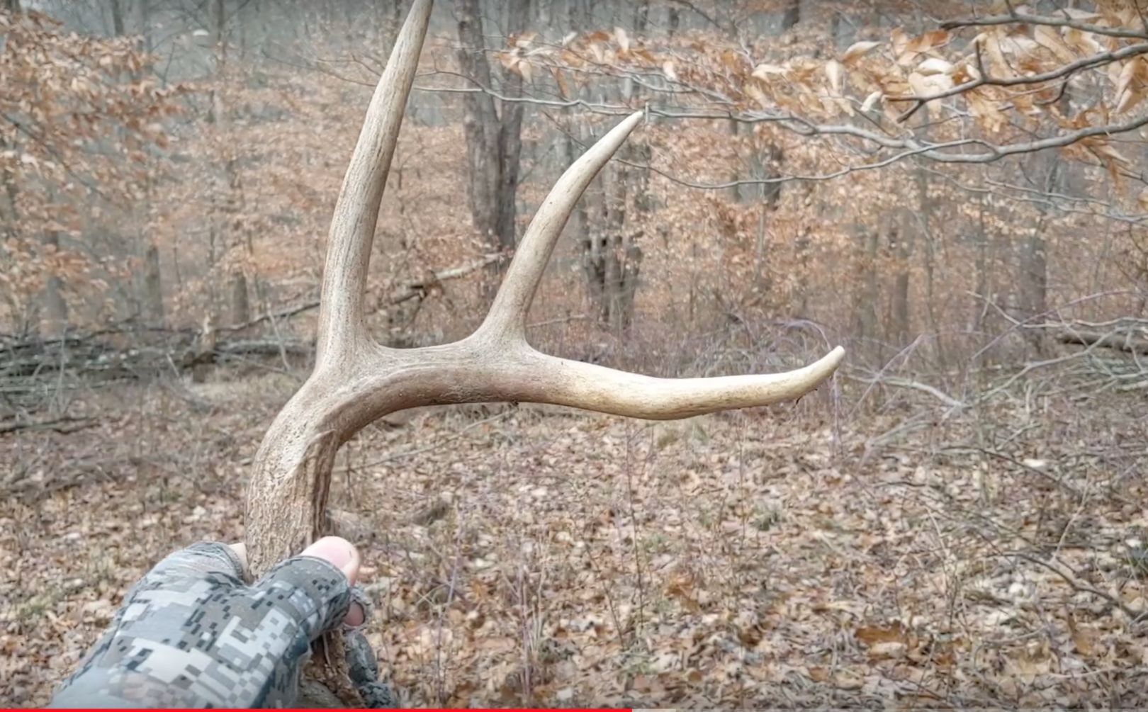 Shed Hunting Fails