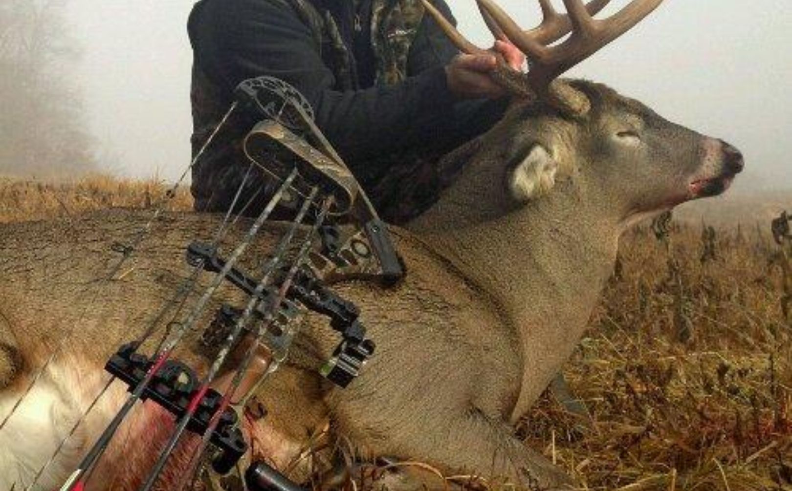 WI Archery Buck