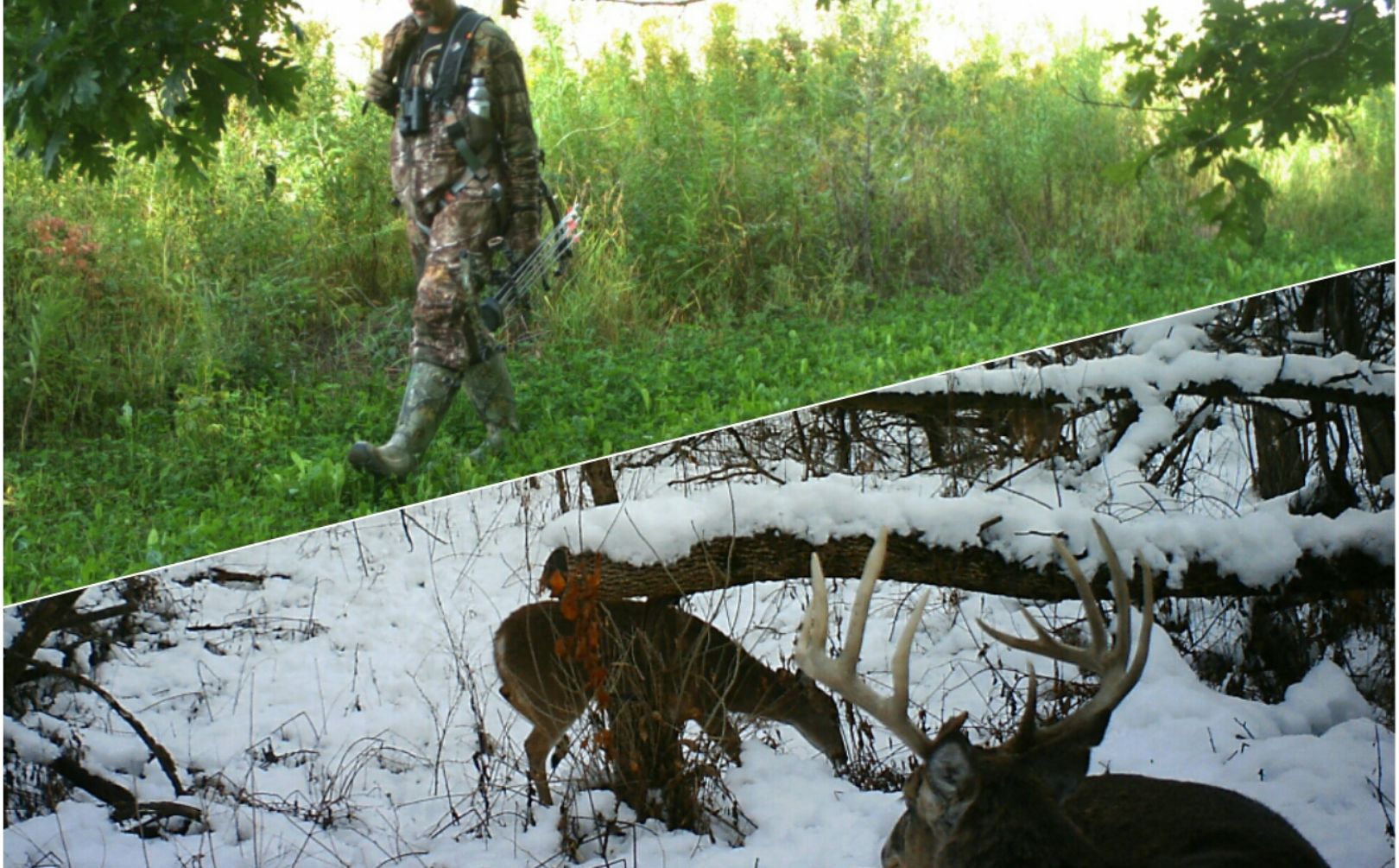all season deer hunting