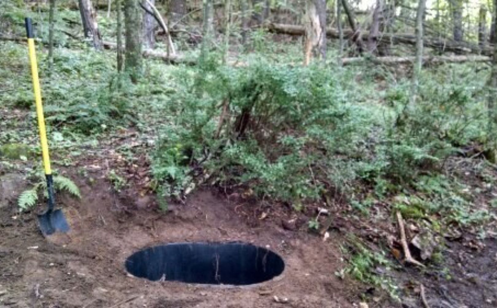 Whitetail waterhole stand location