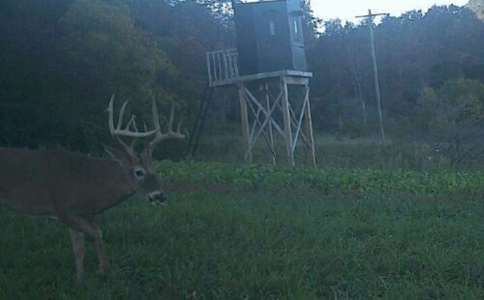 nw il monster buck