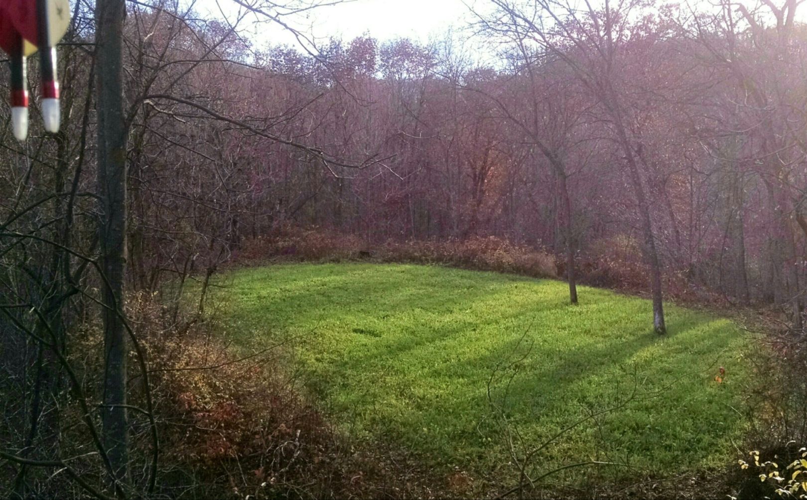 Where Should I Sit During the Rut? 