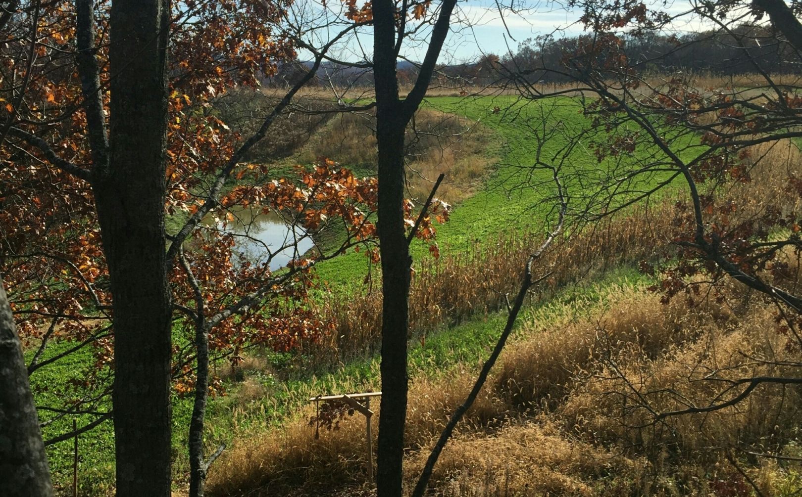 bowhunting habitat strategy