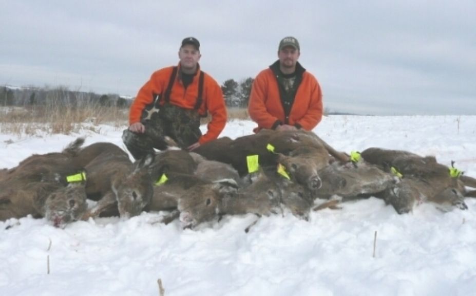 doe hunting herd success