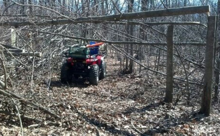 chainsaw travel corridors