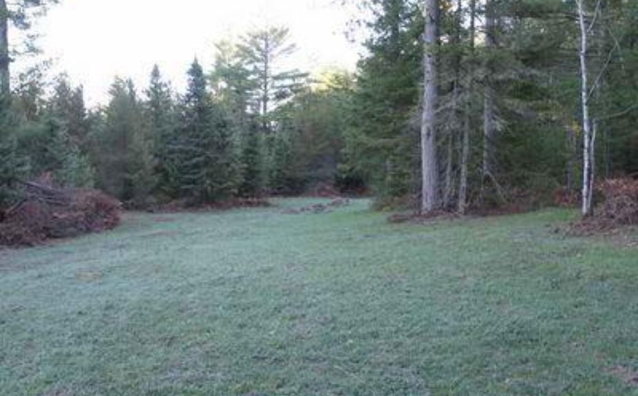 food plot blend