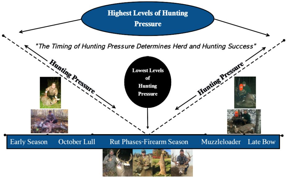 deer hunting pressure