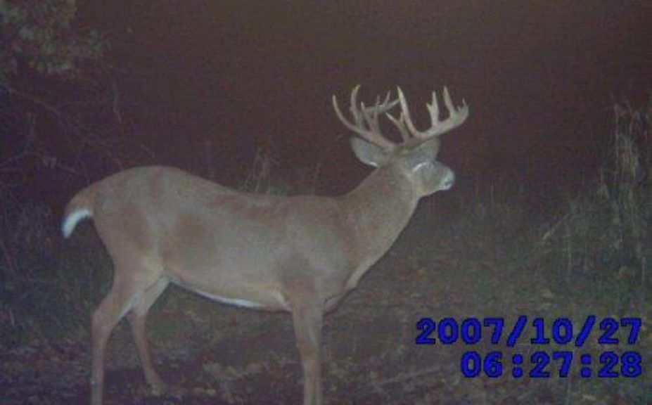 deer cam tips