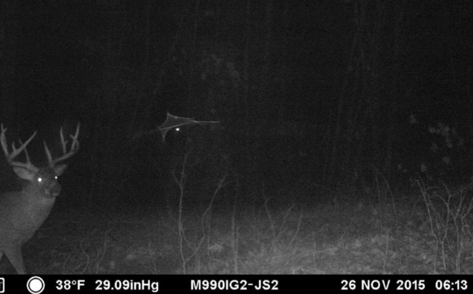 trail cam scouting