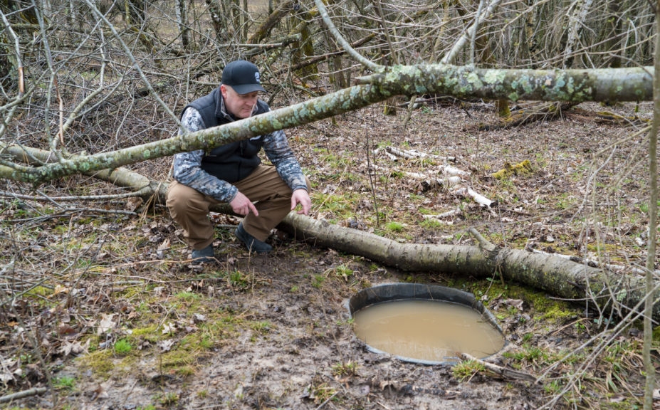 deer Waterhole tips