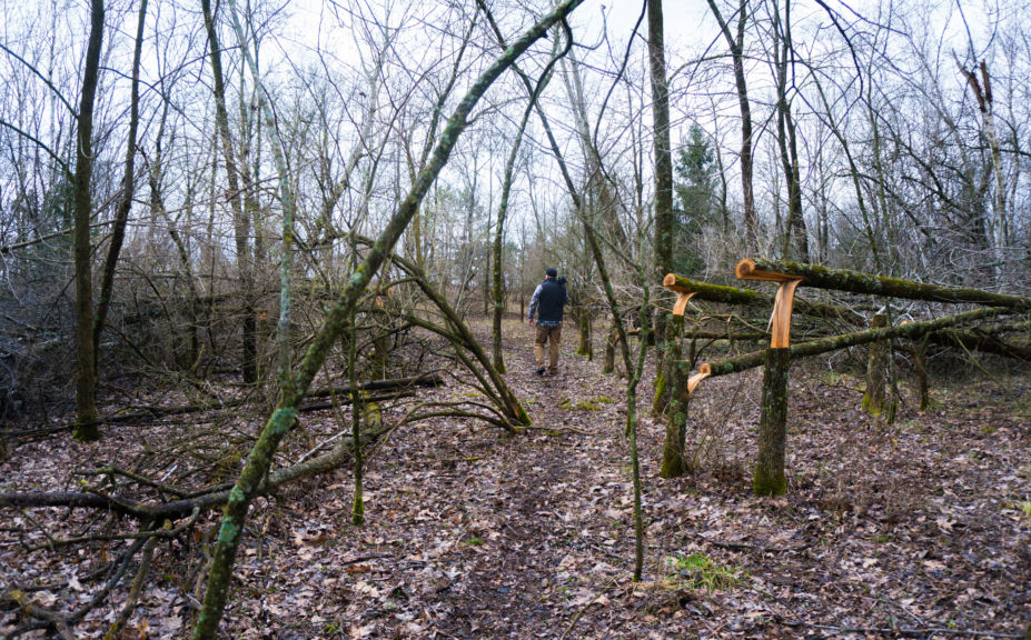 whitetail corridor tips