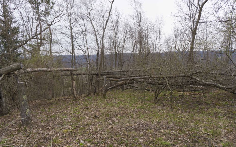 Whitetail Bedding Canopy