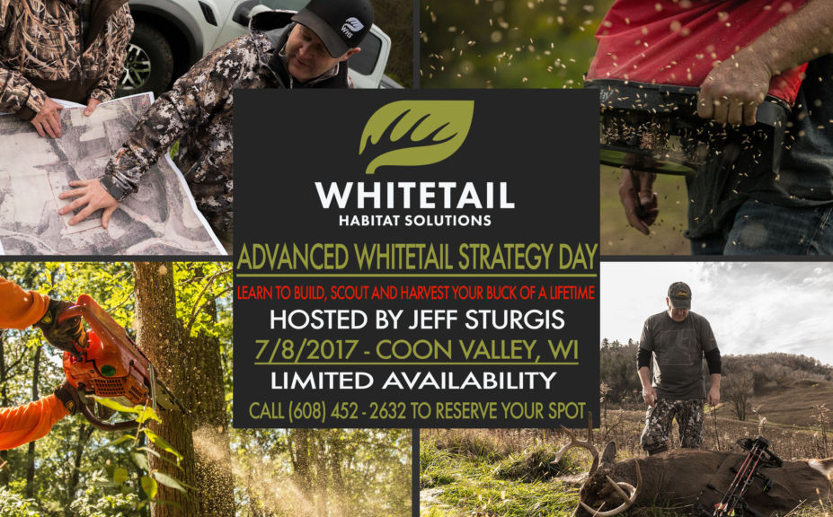 advanced whitetail strategy