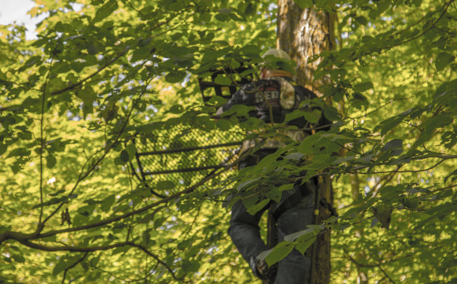 combination treestands