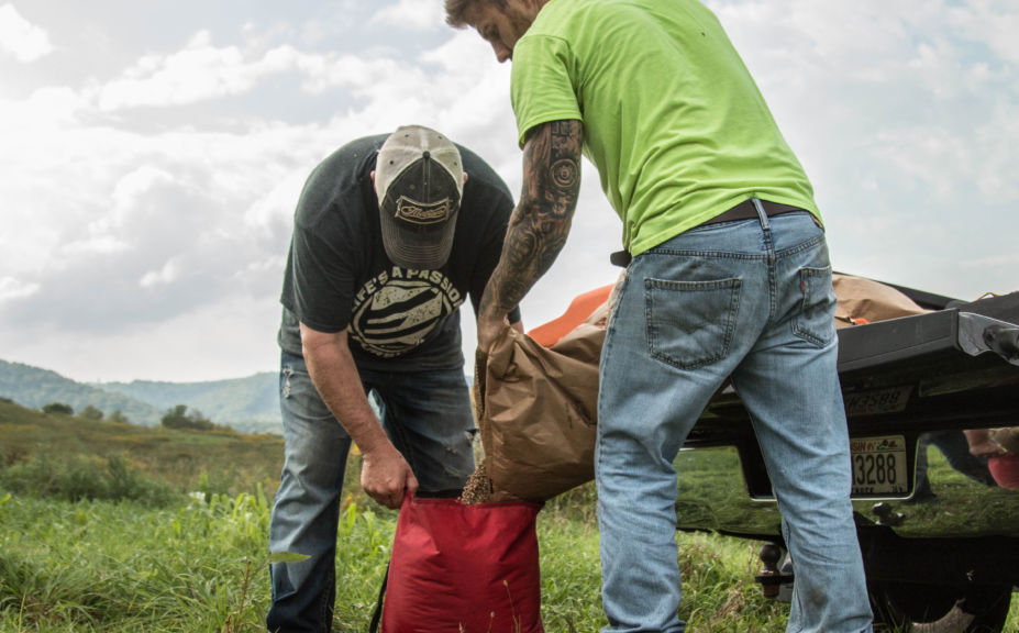 one year food plot