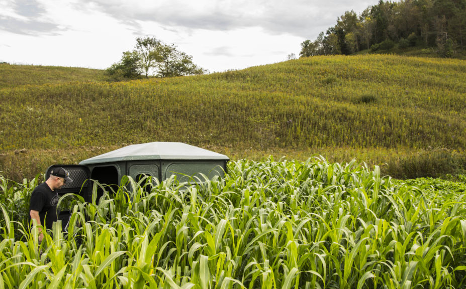 deer blind strategies