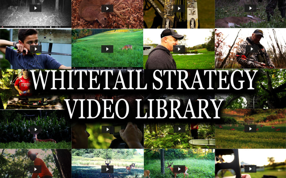Whitetail Video Library 