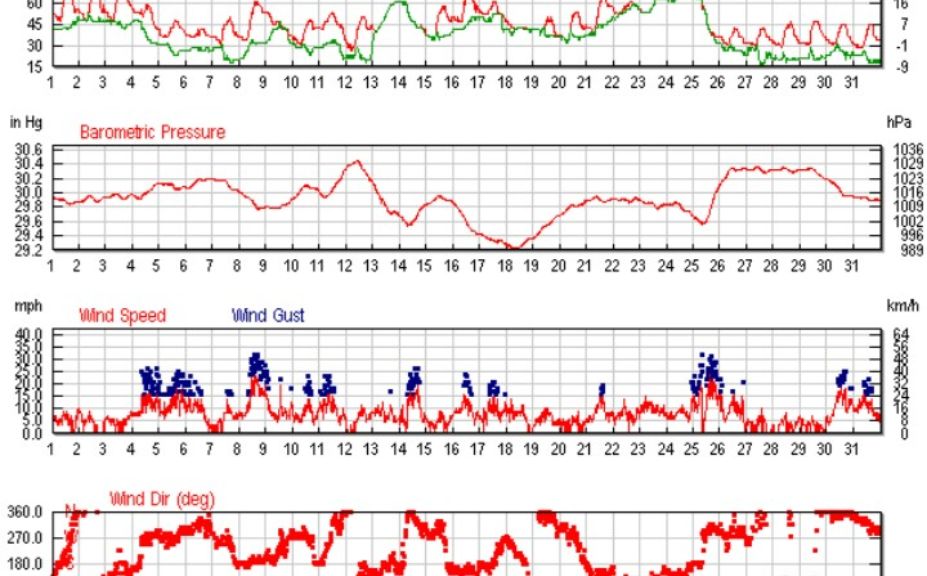 whitetail rut timing