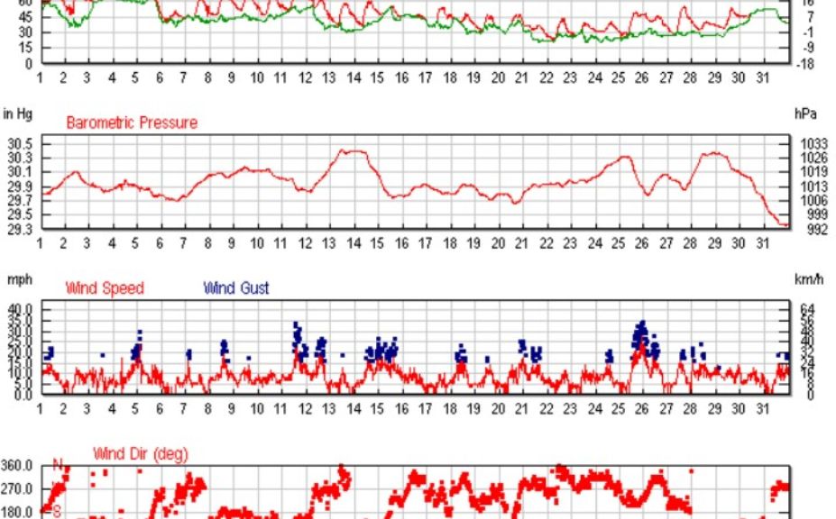 whitetail rut timing