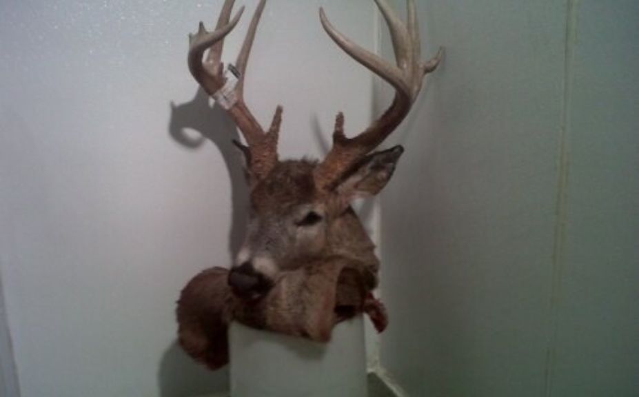 nw il monster buck