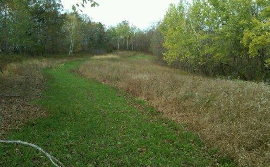 food plots for small parcels