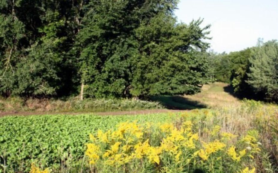 shift of whitetail habitat