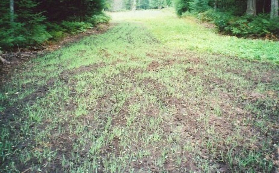  One Year Food Plot Program