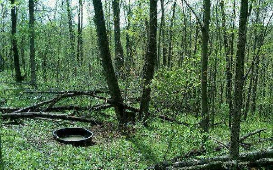 travel corridor treestand setups