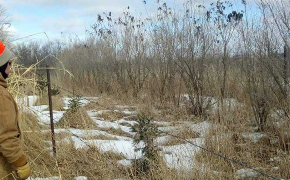 food plot screen