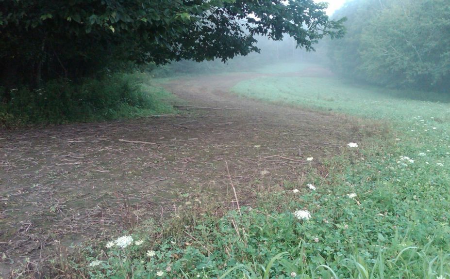 food plot direction