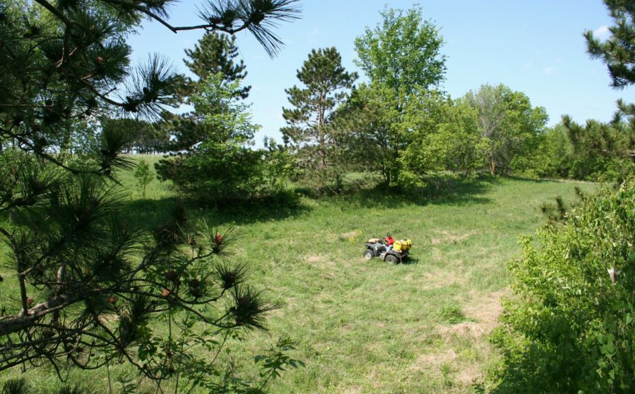 no till food plot